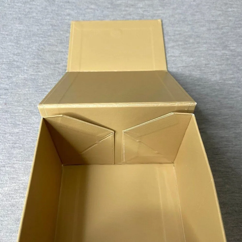 Michael Kors comes box